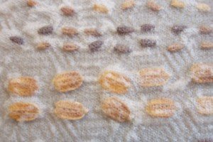 Підготовка насіння буряків до сівби: правила калібрування і пророщування коренеплоду