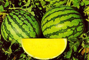 Цікава прикмета: зїсти жовтий кавун і притягти достаток