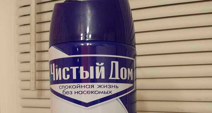Як витравити клопів самостійно   перевірені методи