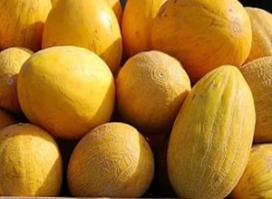 Все про дині і навіть більше: опис, властивості, склад, многоообразие сортів та їх особливості