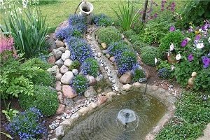 Барвінок — посадка й догляд у відкритому грунті