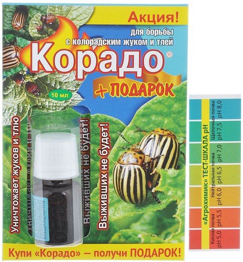 Кошти від попелиці – вибираємо ефективний інсектицид