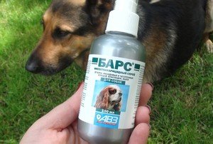Краплі від бліх барс   інструкція і варто використовувати?