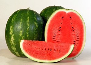 Ранні і скоростиглі сорти кавунів — огляд кращих видів та відгуки