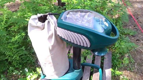 Засіб від комарів – вибираємо готове і робимо своїми руками