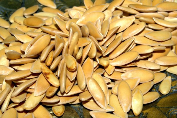 Користь і шкода дині для організму людини: властивості, склад, правила вживання і нюанси вибору