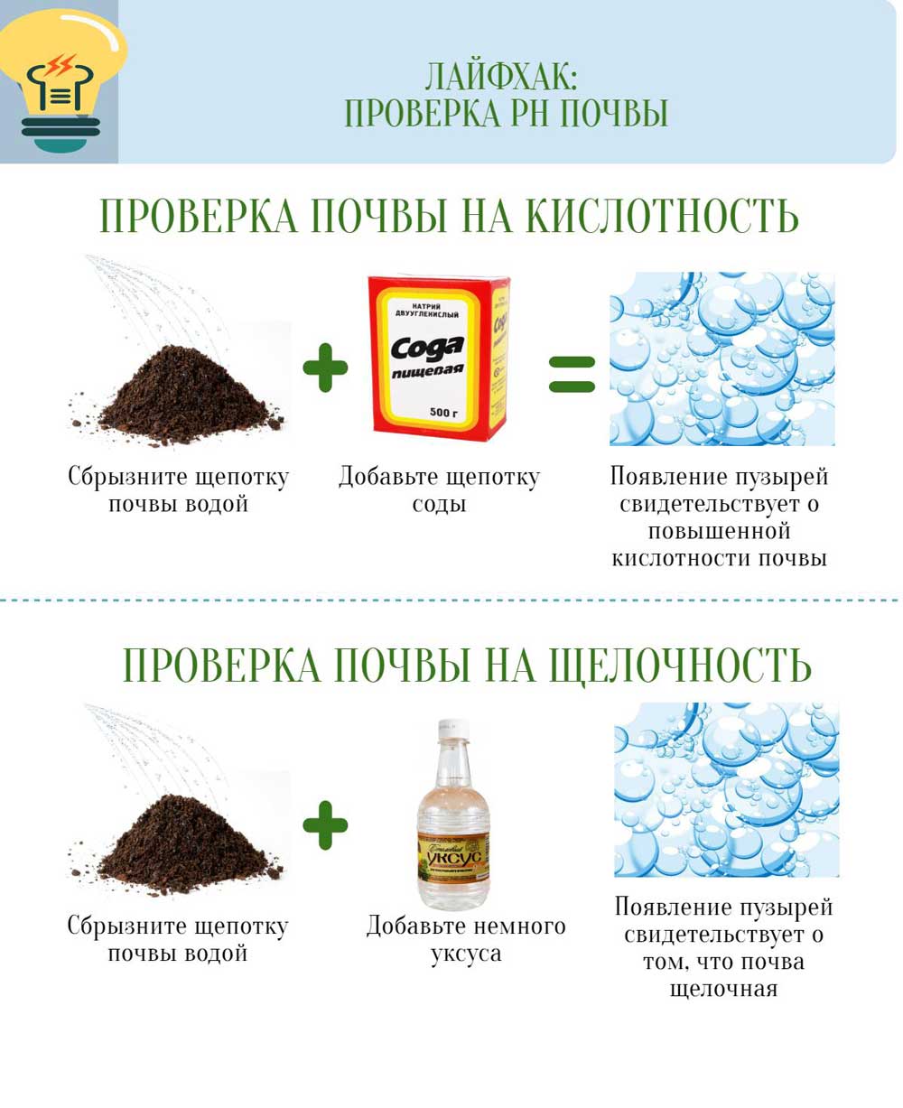 25 лайфхаков для дачі, саду та городу