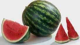 Вирощування кавунів на Уралі: поради щодо вибору сортів і догляду за кавунами