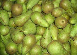 Груша Абат Феттель — опис сорту