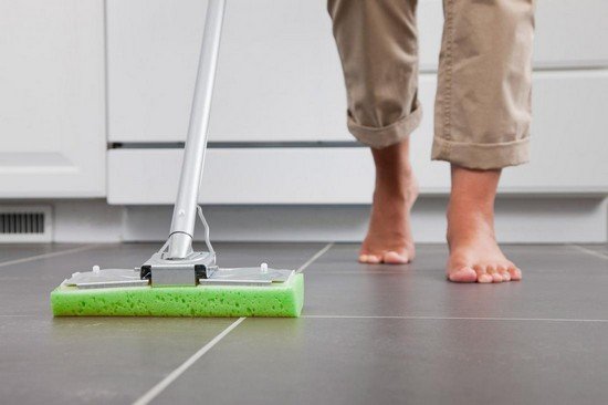 Бабочница: характеристика та методи боротьби