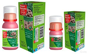 Як позбутися від дротяників на картоплі: методи боротьби, відео поради