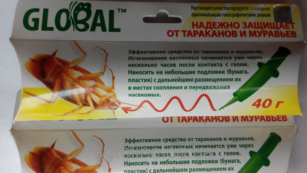 Як позбутися від прусаків раз і назавжди   найкращі засоби