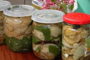 Волнушка — делікатес або поганка