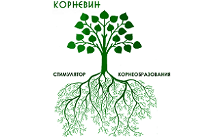 Корневін: ефективний і недорогий стимулятор росту коренів