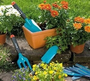 Як зробити красиву клумбу з багаторічників: ідеї, підбір кольорів, покрокова інструкція, схеми та фото