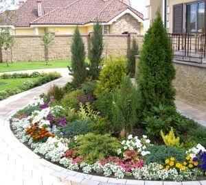 Міксбордер з багаторічників: принципи пристрою, схеми та назви рослин, покрокова відеоінструкція