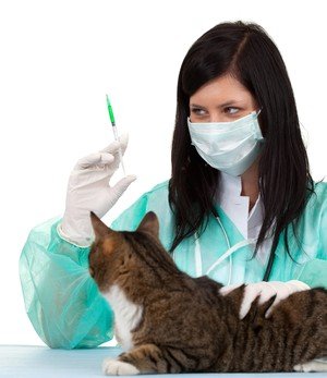 Дельтаметрин   інструкція із застосування й побічні ефекти