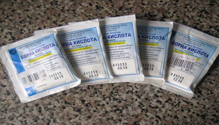 Народні засоби від тарганів у квартирі та ефективні способи