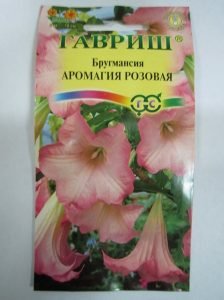 Бругмансия: посадка і догляд у відкритому грунті, а також розмноження в домашніх умовах