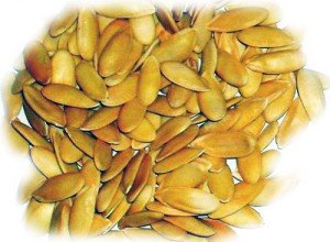 Диня Торпеда: умови вирощування, правила вибору, корисні властивості і калорійність