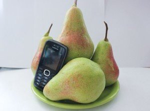 Опис елітних літніх сортів груші: Видна, Красуля, Кафедральна