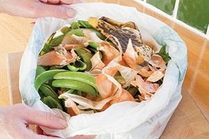 Приготування компосту в домашніх умовах: поради фахівців і покрокова інструкція