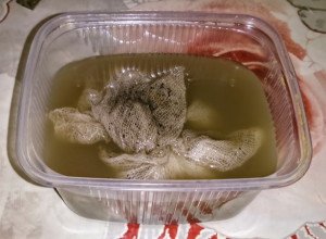 Вирощування дині на дачній ділянці: способи посадки, вибір сорту та догляд за рослиною