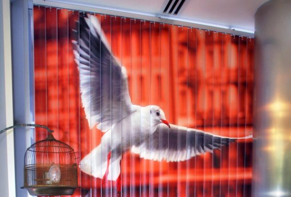 Жалюзі на пластикові вікна — 9 видів виробів