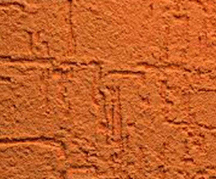 Декоративна штукатурка короїд фото