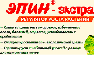 Препарат Епін — реальна допомога кімнатним рослинам