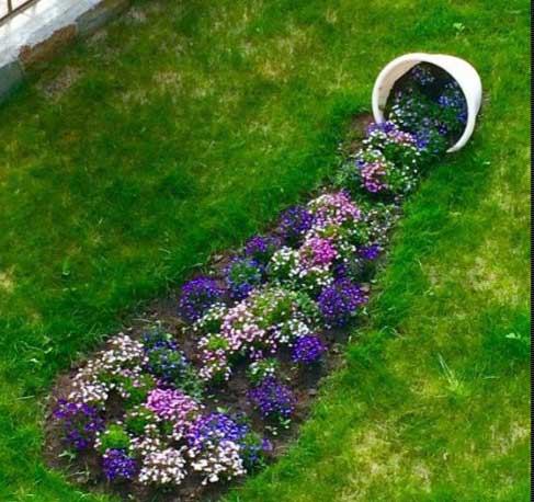 Цікаві ідеї для клумби своїми руками