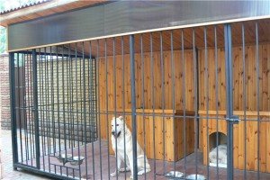 Як недорого зробити вольєр для собаки своїми руками: матеріали, основні вимоги, етапи робіт, фото і відео