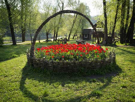 Цікаві ідеї для клумби своїми руками