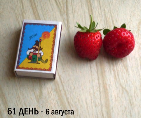 Домашня полуниця: вирощуємо за 10 кроків