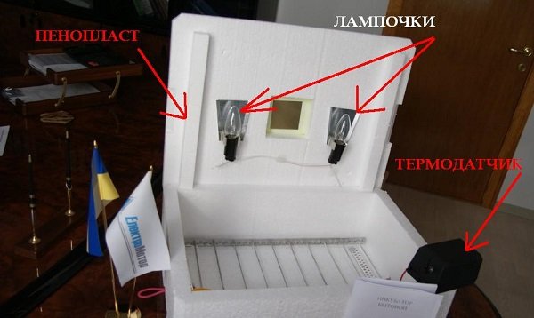 Інкубатор «Ідеальна квочка»: технічні особливості, основні переваги та недоліки
