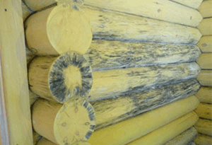 Обробка дерева від вологи і гниття: причини, профілактика, огляд коштів, відгуки