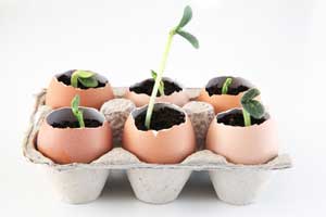 25 лайфхаков для дачі, саду та городу