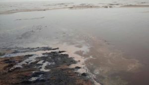 Сонник Водорості у воді бачити до чого сниться?