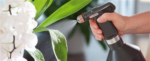 Боротьба з попелиць народними засобами – готуємо дієві препарати за перевіреними рецептами