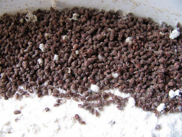 Хлібний точильник – рятуємо продукти