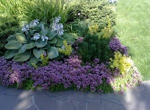 Як створити клумбу безперервного цвітіння з багаторічників: схема посадки в саду, вибір рослин і відео інструкція