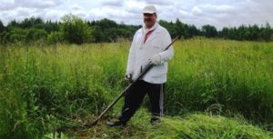 Сонник Трава: суха висока у сні бачити до чого сниться?
