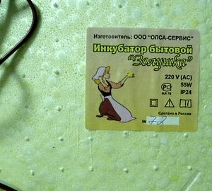 Опис інкубатора «Попелюшка»: принцип роботи і технічні характеристики