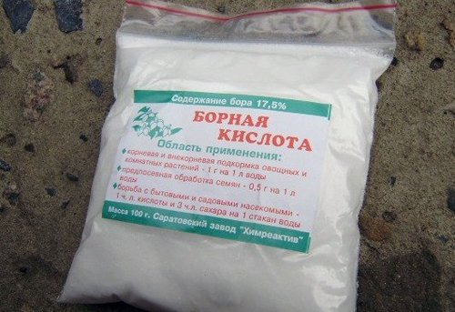 Як назавжди позбутися від тарганів у квартирі: народні і покупні засоби
