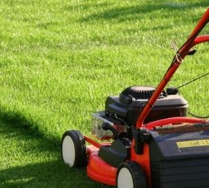 Як зробити экопарковку на дачі своїми руками — відео