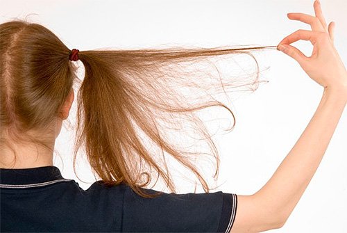 До чого сняться воші в голові у себе, у дитини на голові і на іншій людині