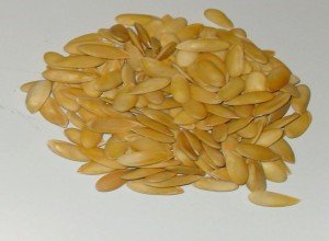 Вирощування дині в теплиці: тонкощі процесу від вибору сорту до збору врожаю