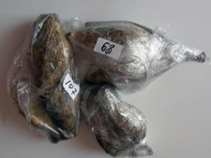 Особливості зберігання бульб жоржин в зимовий час