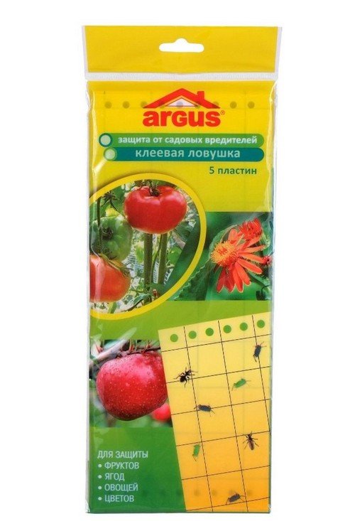 Як позбутися від попелиці за допомогою перевірених засобів