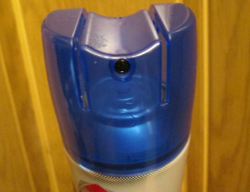 Меблеві клопи (фото) як позбутися і вивести самостійно